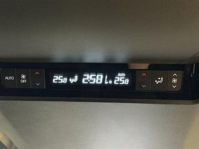 2025 Toyota ALPHARD 照片 22