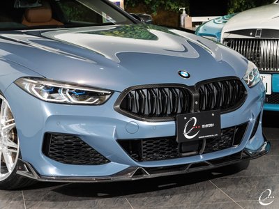 2018 BMW 8 SERIES — фото 19