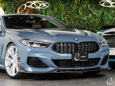 2018 BMW 8 SERIES — фото 17