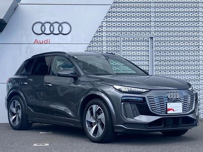 2025 AUDI Q6 E-TRON 照片 29