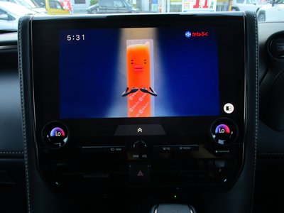 صورة 27 لـ 2025 Toyota ALPHARD
