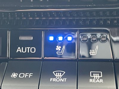 2024 Toyota LAND CRUISER 250 photo 10