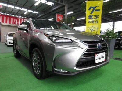 2015 Lexus NX — фото 1