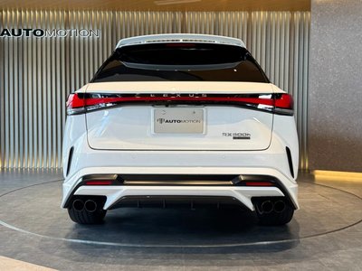 2024 Lexus RX — фото 13
