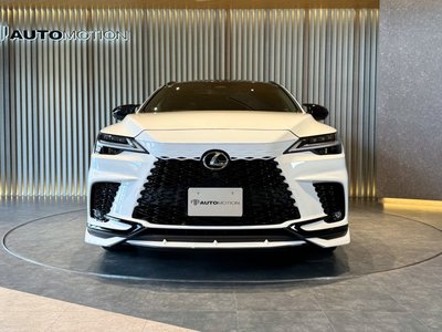 2024 Lexus RX — фото 21