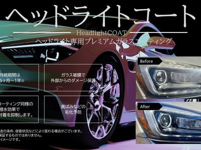 2023 Toyota ALPHARD — фото 49