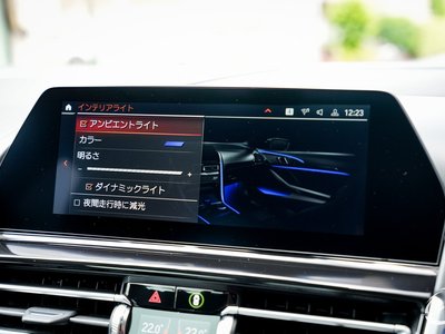2019 BMW 8 SERIES GRAN COUPE photo 22