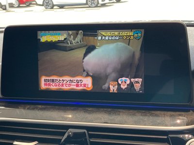 2024 BMW 5 SERIES TOURING 照片 44