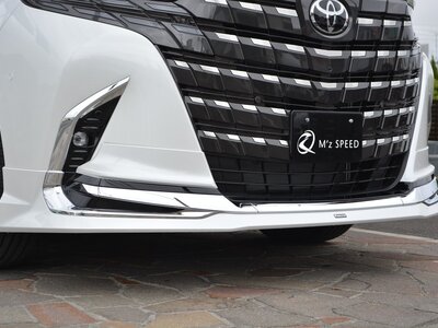 2025 Toyota ALPHARD — фото 48