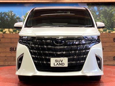 2024 Toyota ALPHARD 照片 14