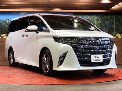 2024 Toyota ALPHARD 照片 16