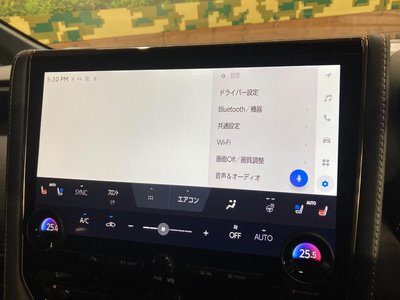 2024 Toyota ALPHARD 照片 65