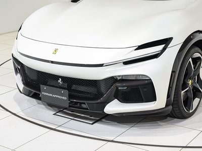 2024 Ferrari PUROSANGUE 照片 51