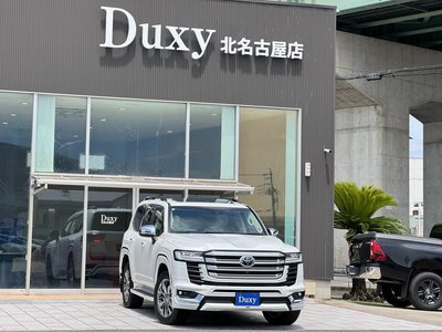 2023 Toyota LAND CRUISER 300 photo 14