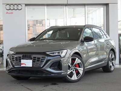 2025 AUDI Q8 E-TRON photo 1