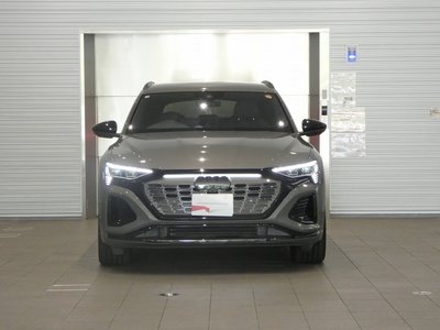 2025 AUDI Q8 E-TRON photo 13