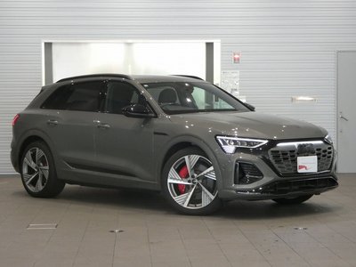 2025 AUDI Q8 E-TRON — миниатюра 26