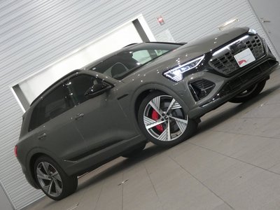2025 AUDI Q8 E-TRON — миниатюра 25