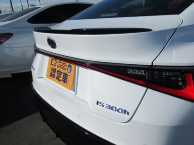 2021 Lexus IS 照片 24