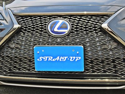 2021 Lexus ES photo 7