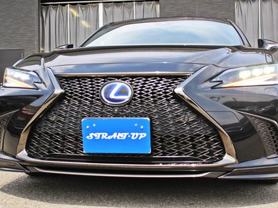 2021 Lexus ES photo 8