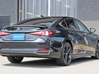 2021 Lexus ES thumbnail 17