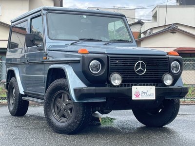 صورة 11 لـ 1988 Mercedes-BENZ G-CLASS