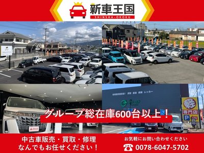 2025 Toyota LAND CRUISER 70 photo 15