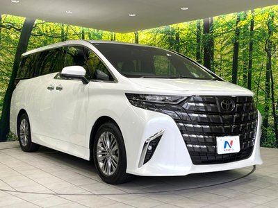 2025 Toyota ALPHARD 照片 17