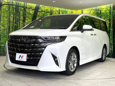 2025 Toyota ALPHARD 照片 29
