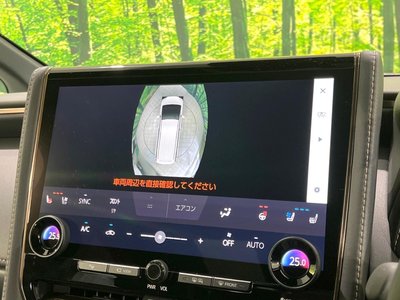 2025 Toyota ALPHARD 照片 36