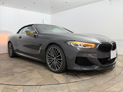 2019 BMW 8 SERIES CABRIOLET thumbnail 51