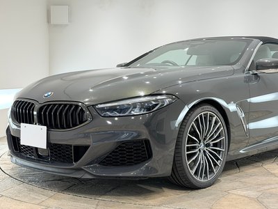 2019 BMW 8 SERIES CABRIOLET thumbnail 55
