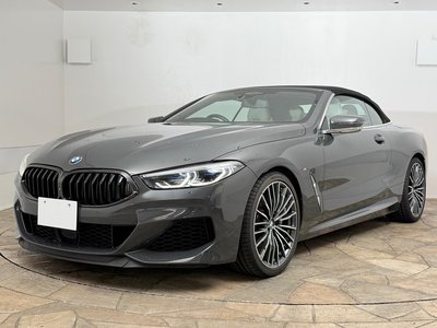 2019 BMW 8 SERIES CABRIOLET thumbnail 49