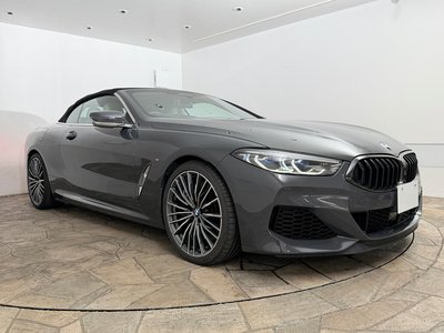 2019 BMW 8 SERIES CABRIOLET thumbnail 50