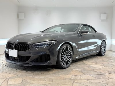 2019 BMW 8 SERIES CABRIOLET thumbnail 54