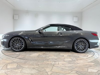 2019 BMW 8 SERIES CABRIOLET thumbnail 61