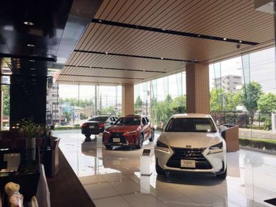 2024 Lexus RX 缩略图 31
