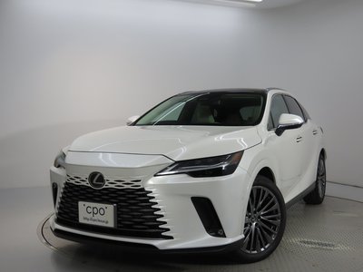 2024 Lexus RX 缩略图 6