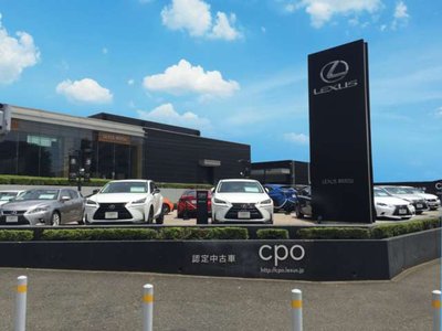 2024 Lexus RX 缩略图 29