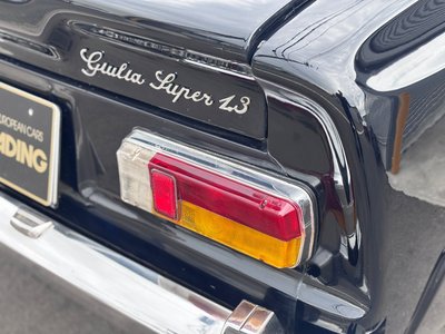 1974 ALFA Romeo JULIA 照片 12
