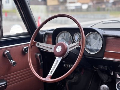 1974 ALFA Romeo JULIA 照片 21