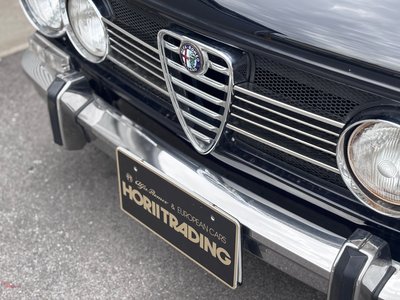 1974 ALFA Romeo JULIA 照片 9