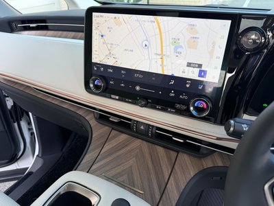 2024 Lexus LM photo 19
