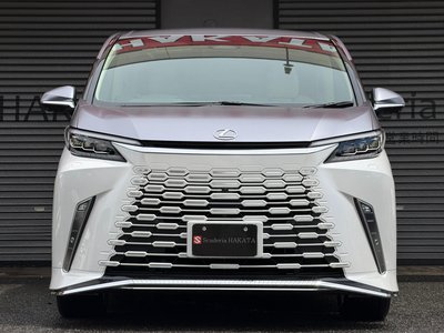2024 Lexus LM photo 2