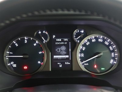 2021 Toyota LAND CRUISER PRADO — фото 15