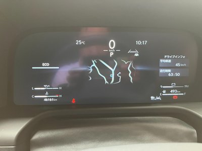 2025 Lexus GX photo 12