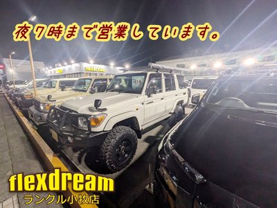 2024 Toyota LAND CRUISER 70 thumbnail 35