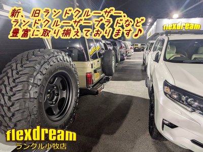 2024 Toyota LAND CRUISER 70 thumbnail 36