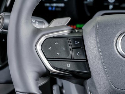 2025 Lexus RX 照片 49